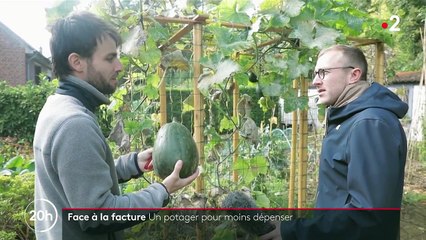 Consommation : faire des économies en développant son propre potager