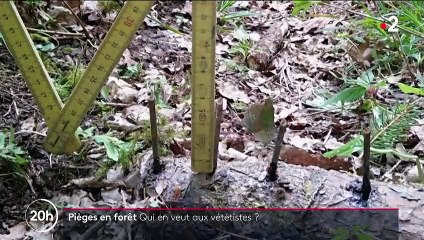 Sport : les vététistes font face à des pièges en forêt