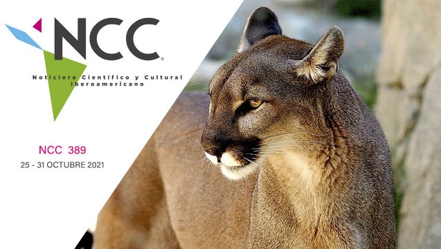 Noticiero Científico y Cultural Iberoamericano, emisión 389. 25 al 31 de octubre de 2021