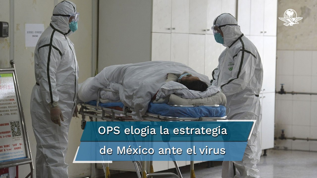 Más de 500 mil muertos directa e indirectamente en México por la pandemia de Covid: OPS