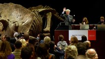 «Big John», le plus grand tricératops connu, adjugé 6,6 millions d’euros à Paris