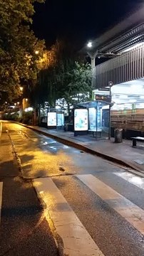 Grenoble Octobre 2021 #France #Isère #grenoble #grenoblecity #grenobletourisme #grenoblealpesmetropole #grenoblelife (51)