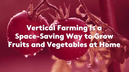 Vertical Farming Is a Space-Saving Way to Grow Fruits and Vegetables at Home—Here's How