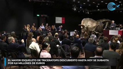 El mayor esqueleto de triceratops descubierto hasta hoy se subasta por 6,6 millones de euros