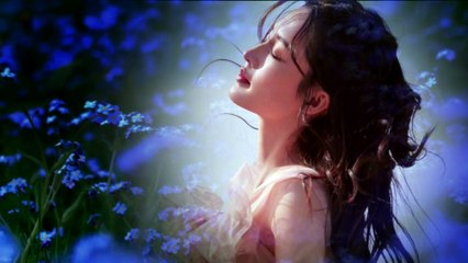 เหงา เหงา เหงา