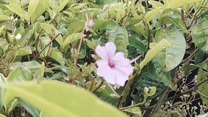 Nuansa indah di tempat wisata