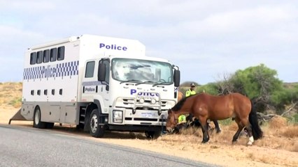WA Govt offers $1m reward to help find missing 4yo