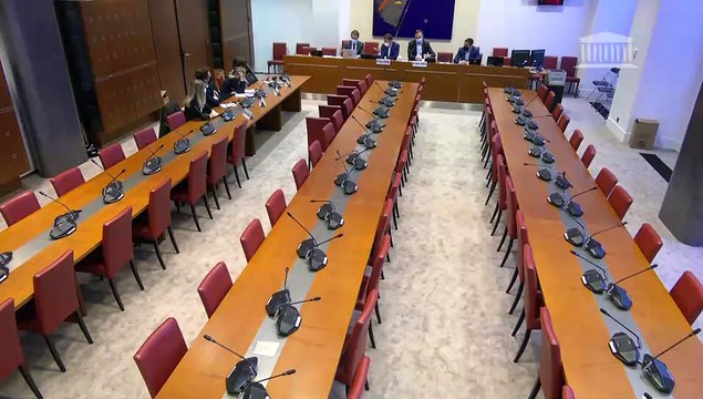 Droits de diffusion audiovisuelle des manifestations sportives : Mme Nathalie Iannetta, directrice des sports de Radio France ; M. François-Charles Bideaux, directeur général d’Euromedia, et de représentants d’AMP Visual TV - Jeudi 21 octobre 2021