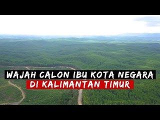 Yuk Kenalan dengan Calon Ibu Kota Negara (IKN) di Kalimantan Timur