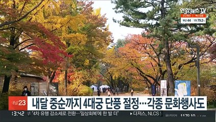 내달 중순까지 4대궁 단풍 절정…각종 문화행사도