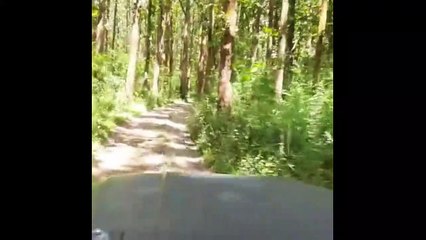 टीकाकरण की भनक लगते ही भाग जाते थे जंगल