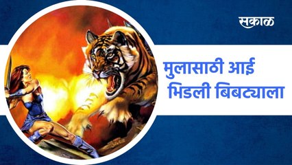 Nashik ;| मुलासाठी आई भिडली बिबट्याला; पाहा व्हिडिओ