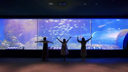 Negicco - Marinepia Nihonkai 30th Anniversary PV