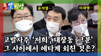 [돌발영상] 정체를 밝혀라! / YTN