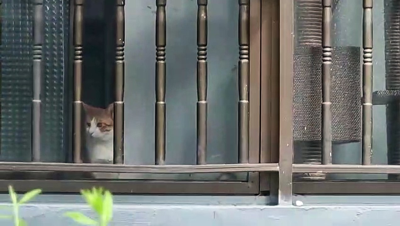 お互い別々な雰囲気と気持ち