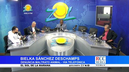 Bielka Sánchez denuncia choque que ocasionó muerte de su perrita amparada en la ley maltrato animal