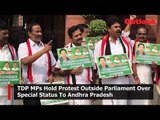 TDP MPs Hold Protest Outside Parliament Over Special Status To Andhra Pradesh
