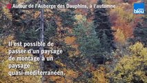 La forêt de Saoû dans la Drôme_- une forêt d'exception