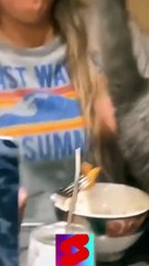 OMG SO Cute Cats / Best funny cats videos 2021