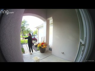 Catching a Bat Ends in Backwards Tumble