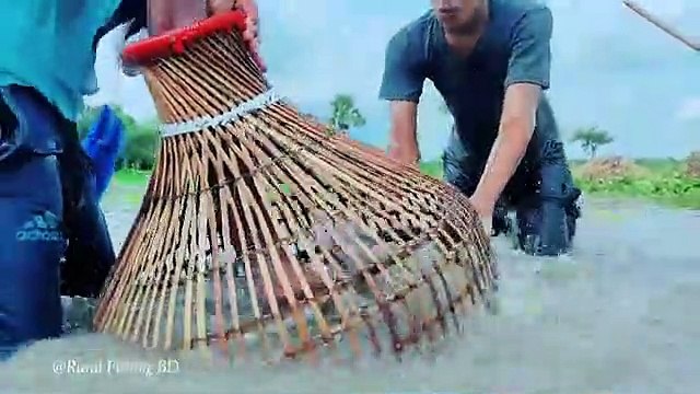 Amazing Fish Trapping System Best Polo Fishing With Bamboo Tools Teta Trap Catching Fish Video