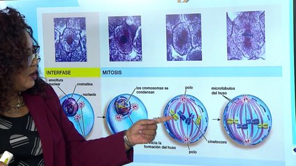 10° Media | Biología 21-10-2021