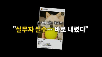[영상] 기름 부은 '개 사진'...윤석열, 왜 이러나 / YTN