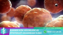 KANSER KÖK HÜCRELERİ İLE FİTOTERAPİ ARASINDAKİ İLİŞKİ -  DR. HAKAN ÖZKUL