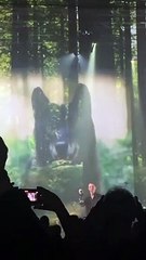 Emma Smet, spectactrice du concert de son père David Hallyday.