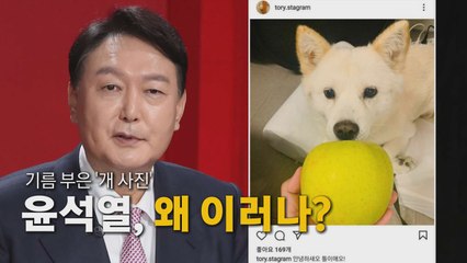 [나이트포커스] 기름 부은 '개 사진'...윤석열, 왜 이러나 / YTN