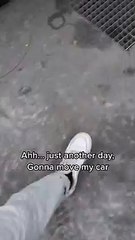 Unique Car Called Junk