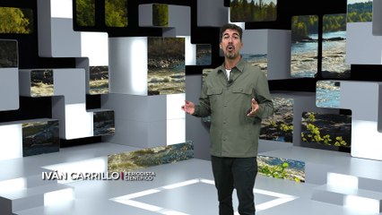 Reporte Climático 12 | Carbono azul