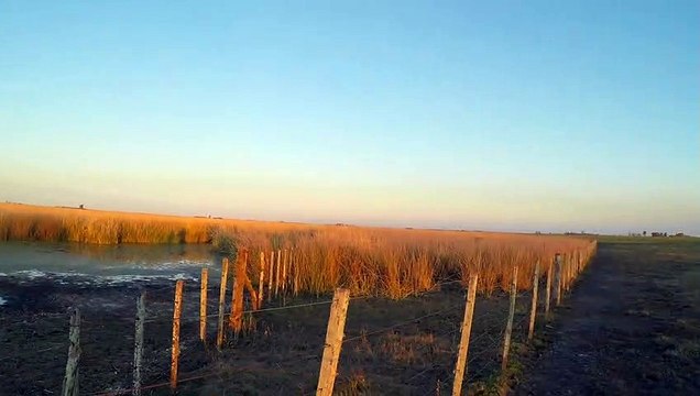 Caminando por la Naturaleza - Sonidos de la Naturaleza | Matías HD