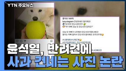 윤석열 이번엔 '개에 사과' 파문...국민의힘도 "상식 초월" / YTN