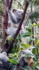 pexels-lucille-king-5519518