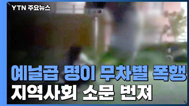 [단독] 애초에 쌍둥이를 왜 건드려? ...남원 발칵 뒤집은 집단폭행 영상 / YTN
