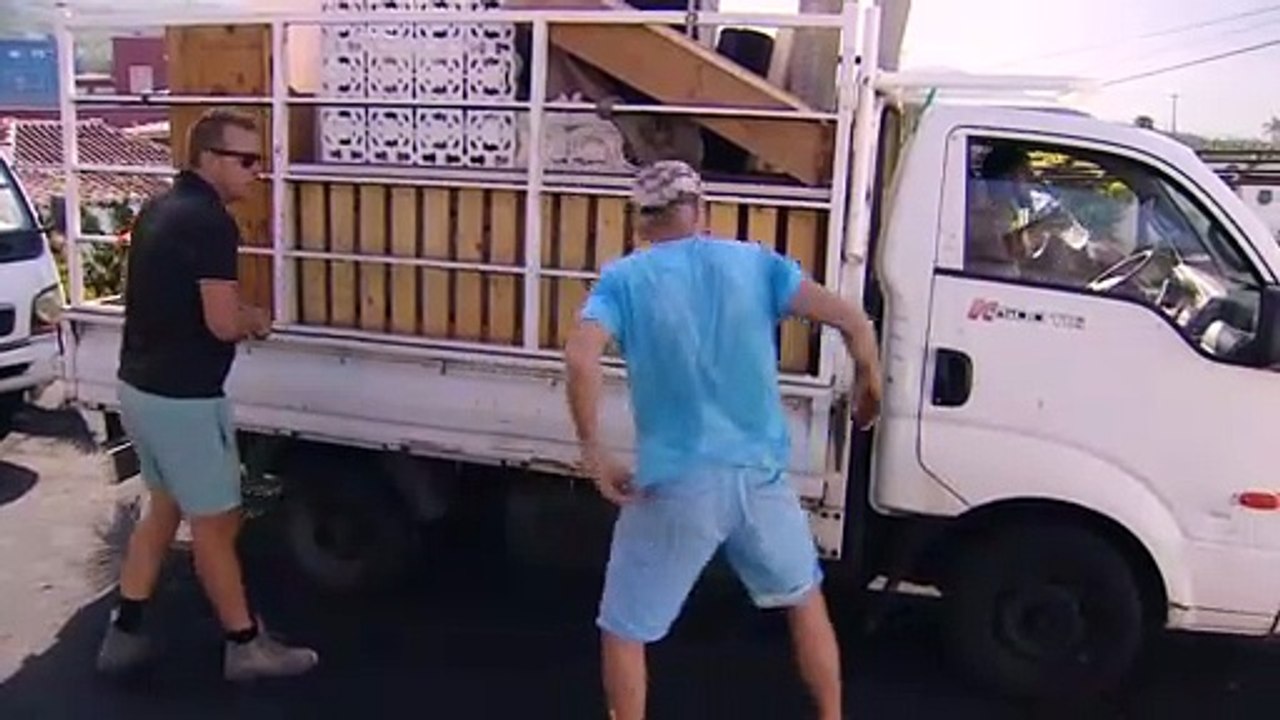 Mysteriöses 'A Team' will Hunde vor Vulkan auf La Palma gerettet haben