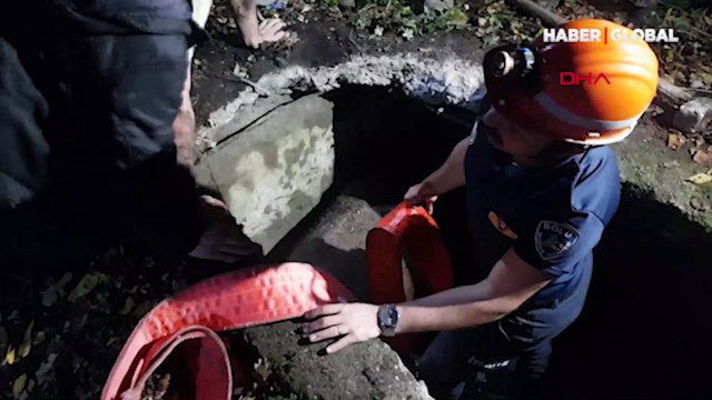 Su kuyusuna düşen inek halatla bağlanarak kurtarıldı