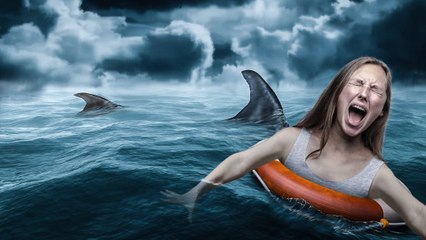 What If You Spent 24 Hours Lost at Sea?