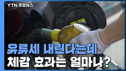 유류세 내린다는데...체감 효과 얼마나 될까 / YTN