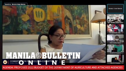 Villar loses cool during DA budget hearing