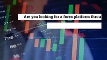 Use Best Forex Platforms In The Best Possible Way