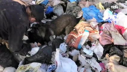 وزارة الداخلية مستمرة في جهودها لمحاربة تجارة المخدرات .. تعرف على كل التفاصيل 