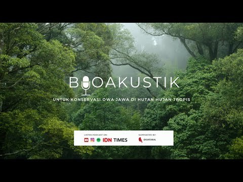 Bioakustik untuk Konservasi Owa Jawa di Hutan Hujan Tropis