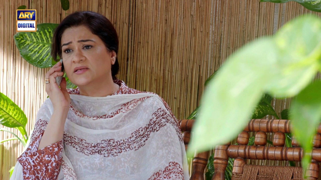 Mere Apne Ep 41