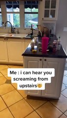 Cat Needs Affection While Feasting