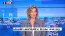 Céline Pina sur la manifestation contre Éric Zemmour : «Qu'on accepte le combat politique, qu'on le livre, mais qu'on arrête cette diabolisation et ce système de censure»