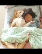 ⁣FUNNY ANIMALS LAUGHING TO TEARS