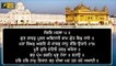 ਸ਼੍ਰੀ ਦਰਬਾਰ ਸਾਹਿਬ ਤੋਂ ਅੱਜ ਦਾ ਹੁਕਮਨਾਮਾ Daily Hukamnama Shri Harimandar Sahib, Amritsar | 23 Oct 21