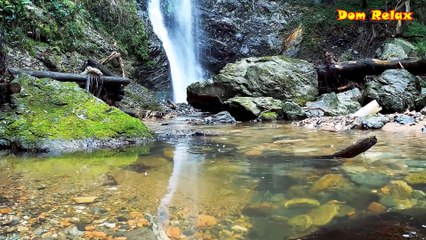 1 Hours Nature Sounds-Waterfall-Relaxing Meditation - Focus or Deep Sleep - Nature Noise